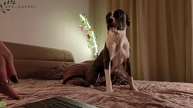 Eva_Natsumi live sex cam