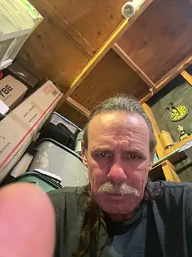 11lanasevol live sex cam