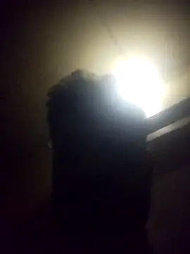 Pravin_paid_boy10 live sex cam