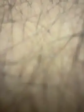 BIGDICK111000 live sex cam