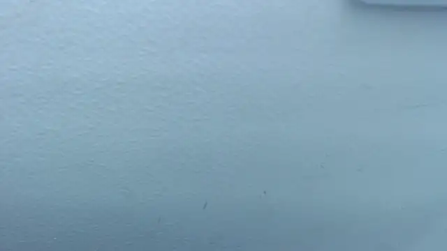 Caroll_Stone's cam snapshot