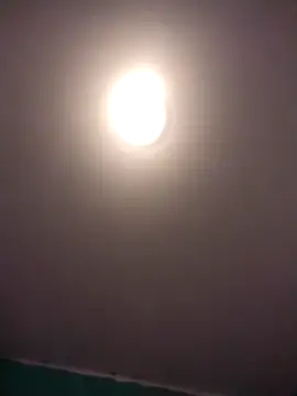 Treemandude live sex cam