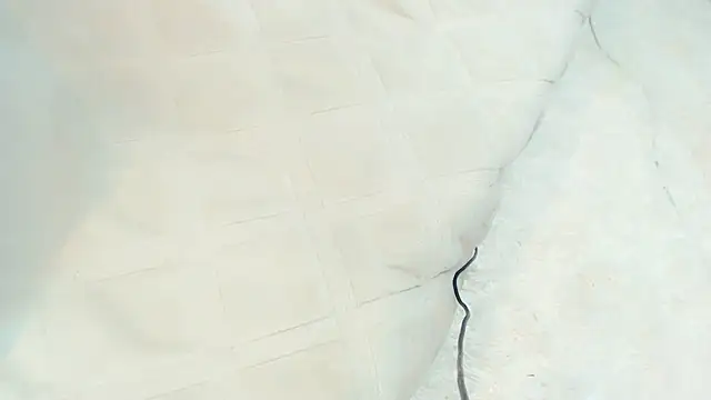 AssBesty's cam snapshot