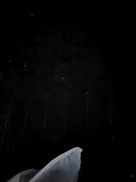 Bohhhhrm live sex cam