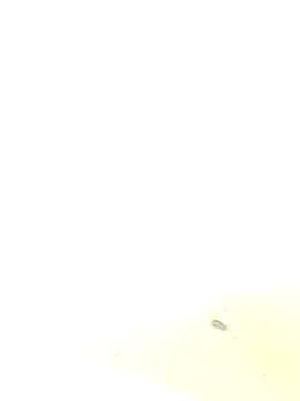 joya_bhabi's cam snapshot