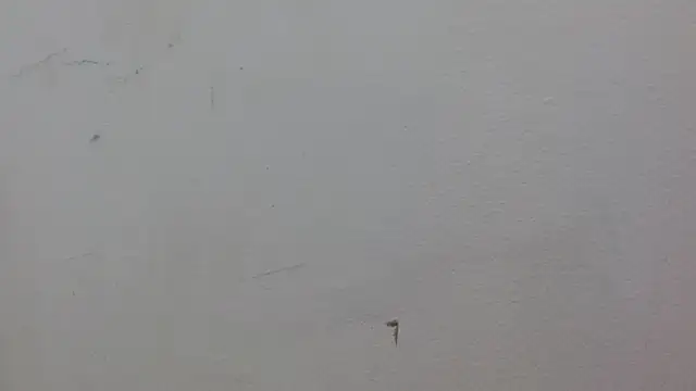 JackSwan18 live sex cam