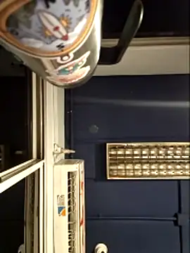 AbidingAuspices's cam snapshot