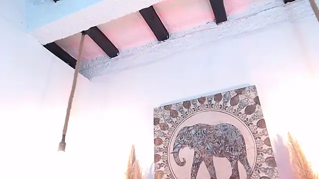 Doll4anall live sex cam