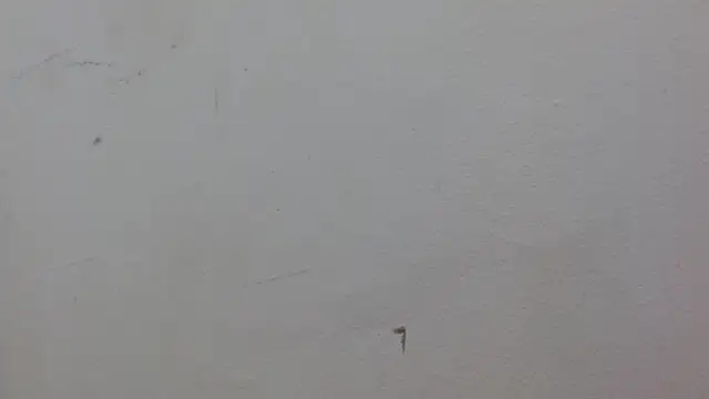 JackSwan18's cam snapshot