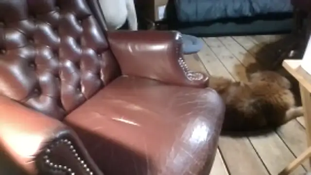 subballsboy's cam snapshot