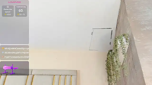 Liincostelloo's cam snapshot