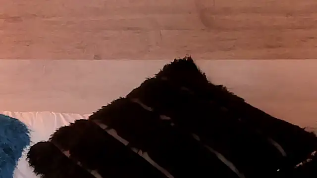 IrisDeLaVega_'s cam snapshot