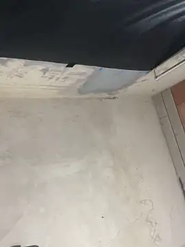 flavia337 live sex cam