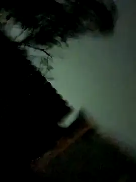 VelvetHalo live sex cam