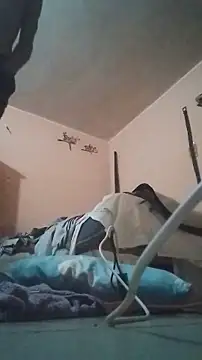 MiFlapito's cam snapshot