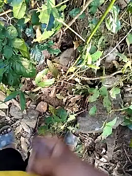 desi_alpha_boy live sex cam