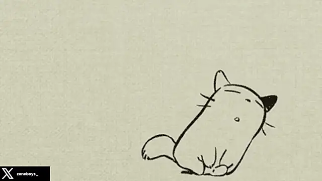 zoneboys live sex cam