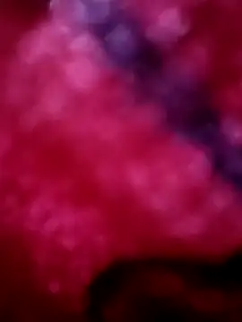 tammy-lisha live sex cam