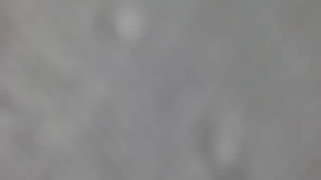 Axel_fox77's cam snapshot