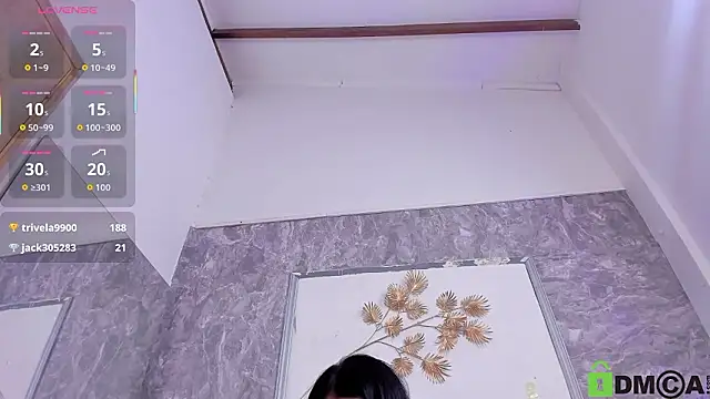 SophieSweet88's cam snapshot