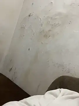 Magosupreme's cam snapshot