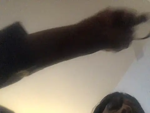 Petralatexcd live sex cam