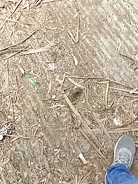 indian_pavi's cam snapshot