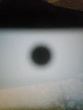 Armyexhibitionistvet live sex cam