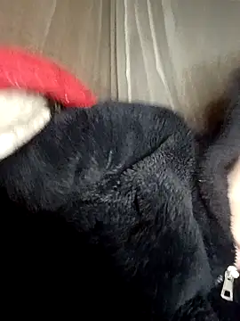 natra0033's cam snapshot