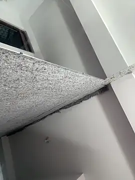 Dayana743's cam snapshot