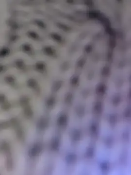 Hot-Sana2's cam snapshot