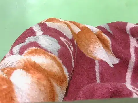 Indian_slimguyhot-16 live sex cam