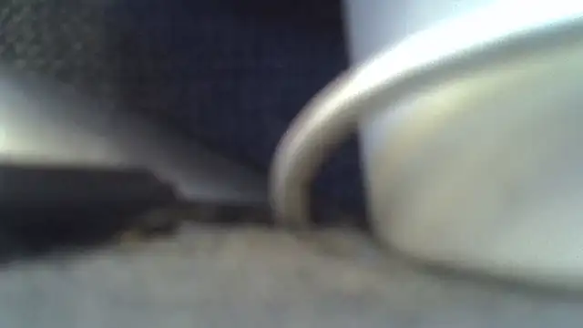 FISTCAMM live sex cam