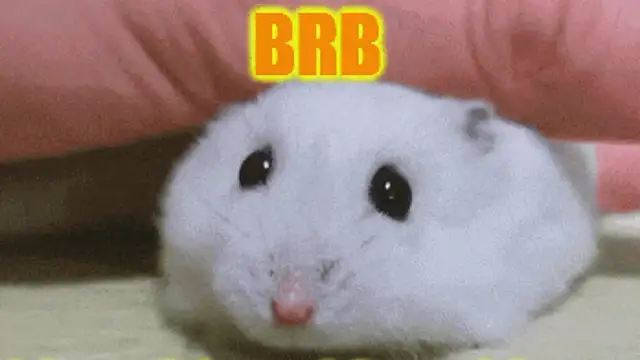 Lolly_Fly's cam snapshot