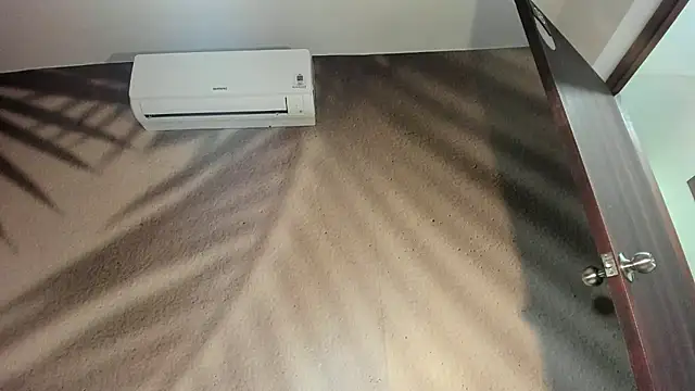 AnneDixie's cam snapshot