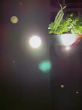 pinkstar_'s cam snapshot