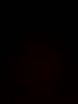 nikkyguddi's cam snapshot