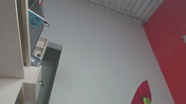 body_x29's cam snapshot