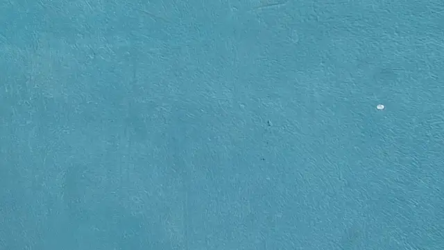 Erick_Zhimerman's cam snapshot