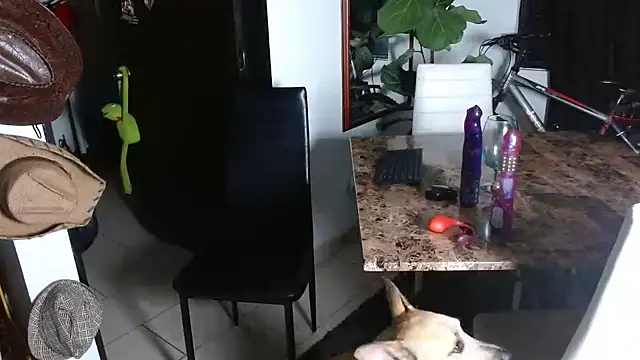 sweet_day19's cam snapshot