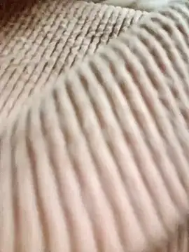 nhinhi-sexy's cam snapshot