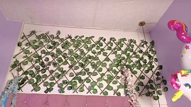 Heiden-Stiven's cam snapshot