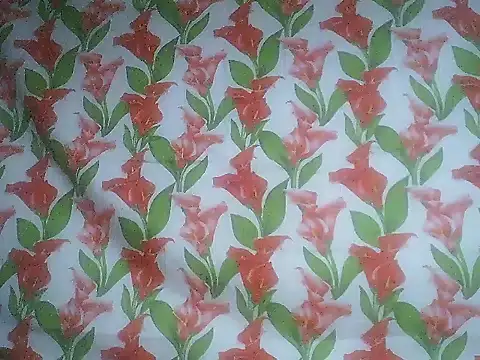 SweetPussie18x's cam snapshot