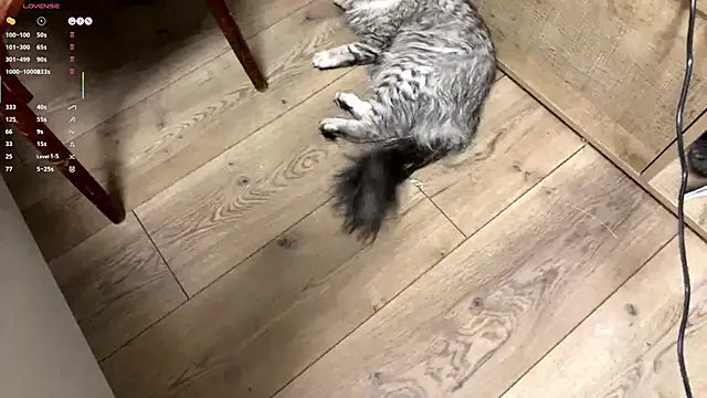 SilverGalen's cam snapshot