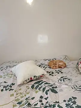 Nedambale's cam snapshot