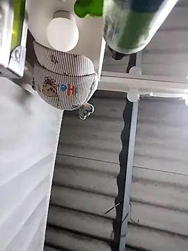 DannaDooll99 live sex cam