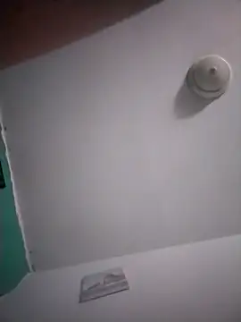 Treemandude live sex cam