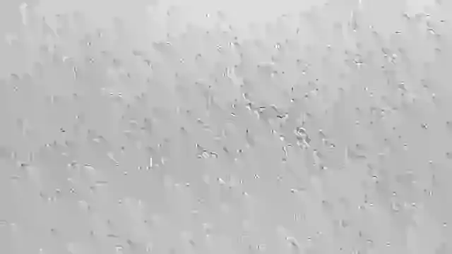 Huntall77's cam snapshot