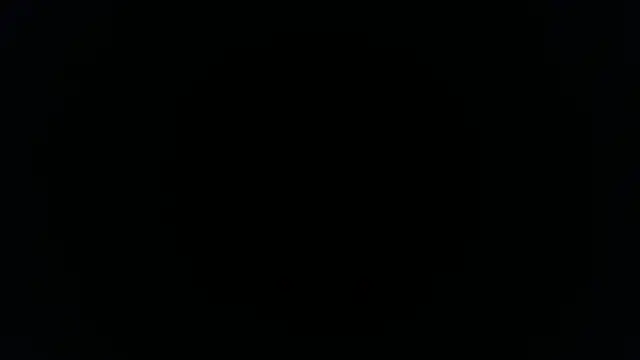 palidin1's cam snapshot