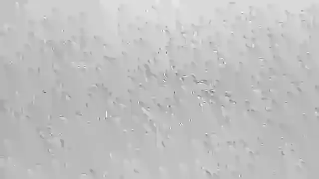 Huntall77's cam snapshot